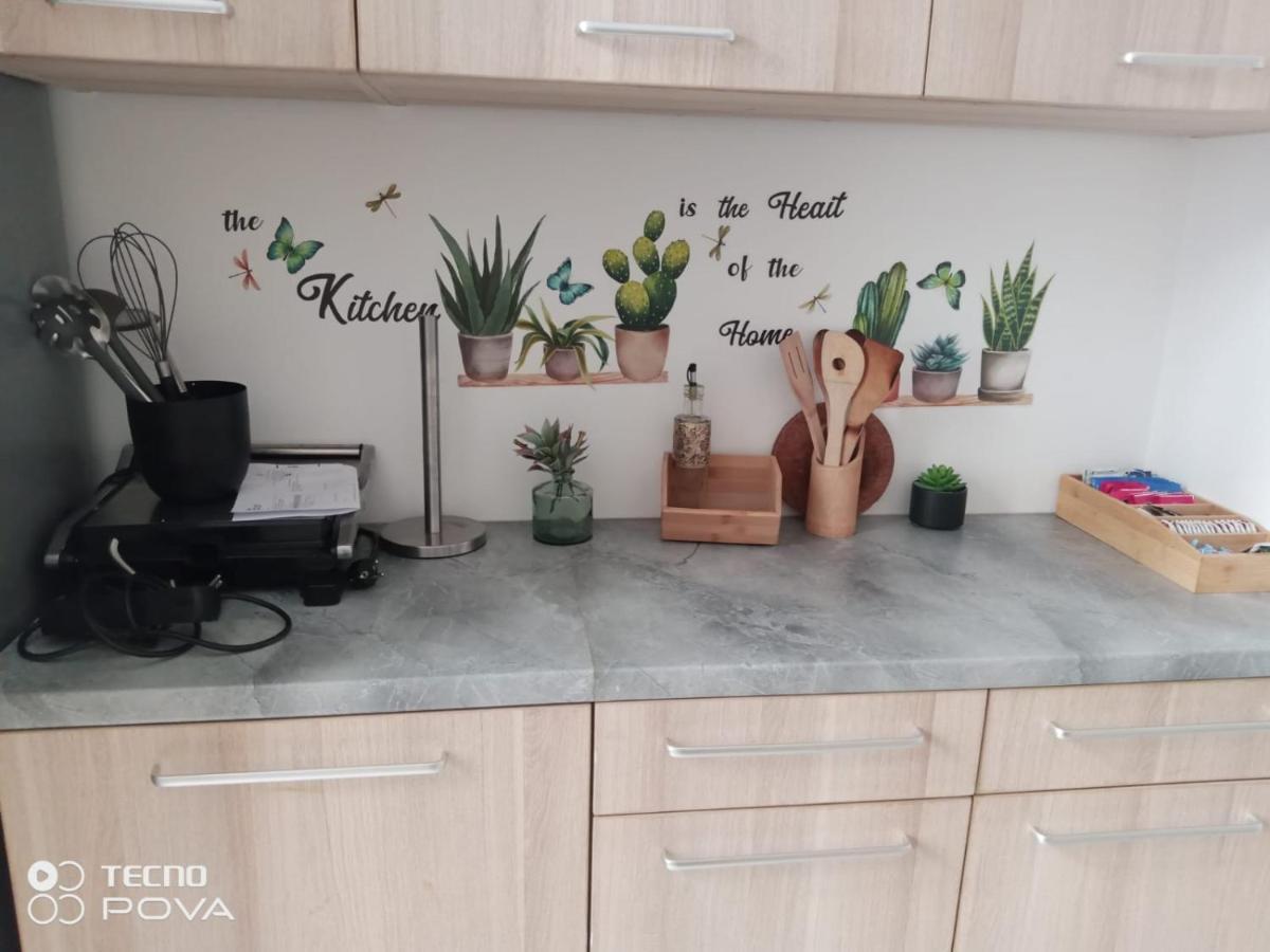 Grand Appartement Au Coeur De Στρασβούργο Εξωτερικό φωτογραφία